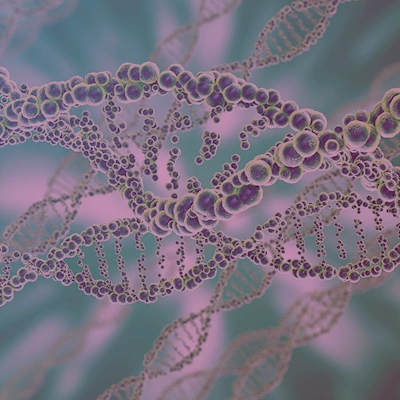I l&oslash;bet af&nbsp;de sidste 5-10 &aring;r har helgenomsekventering (WGS) af mikroorganismer v&aelig;ret af h&oslash;j betydning for dansk infektionsoverv&aring;gning og -beredskab.&nbsp;